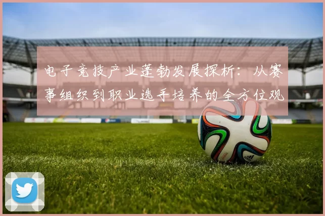 电子竞技产业蓬勃发展探析：从赛事组织到职业选手培养的全方位观察
