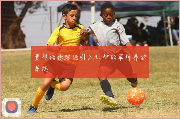 费耶诺德球场引入AI智能草坪养护系统